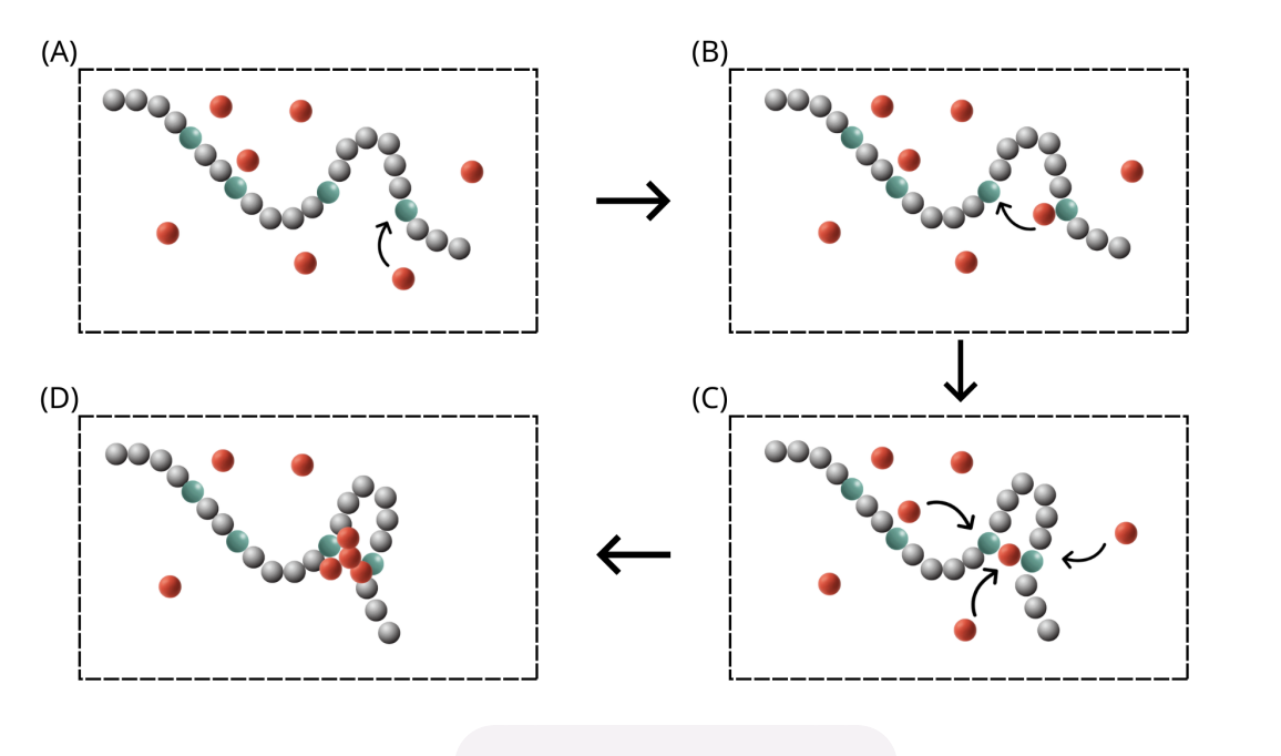 Chromatin dynamics and Waddington landscape project image